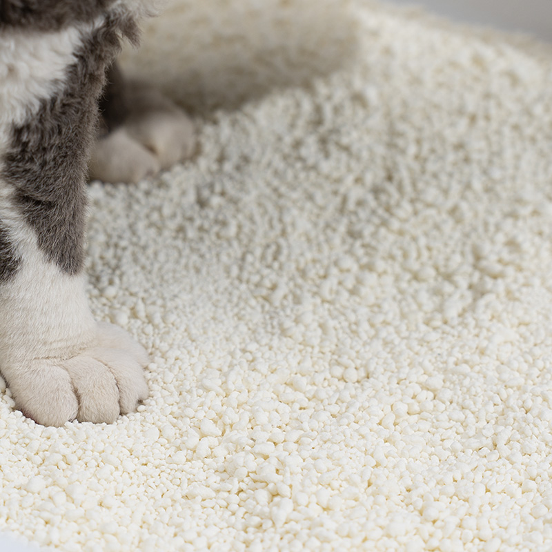 Seguridad de la arena de maíz, ventajas y desventajas y las mejores alternativas para los dueños de gatos