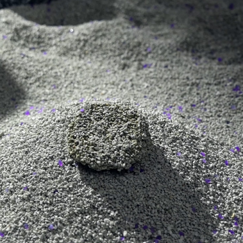 Arena mineral para gatos: guía práctica sobre beneficios, uso y elección de la mejor