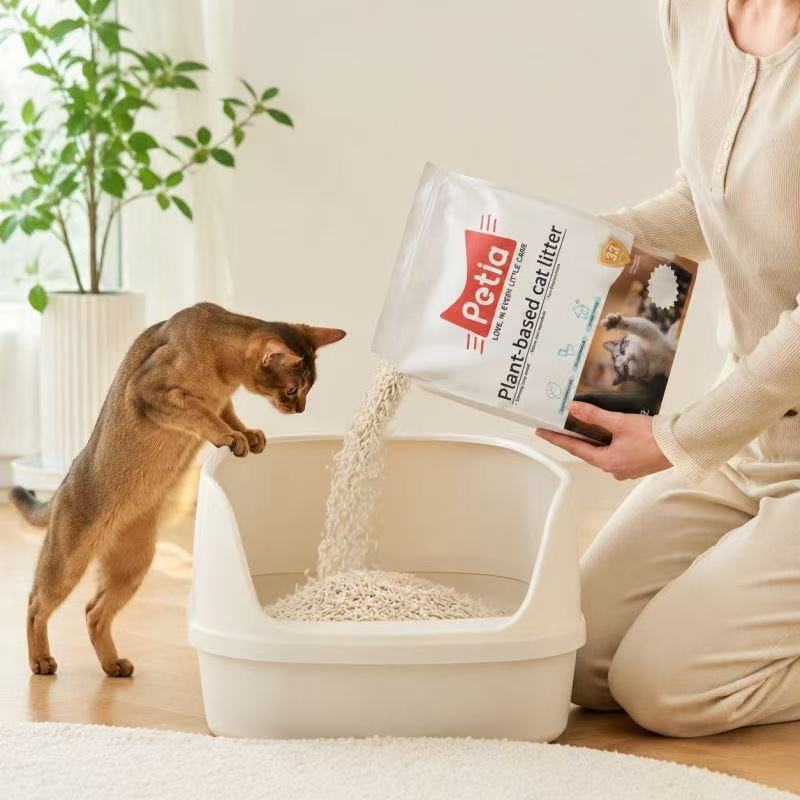 Los tres mayores desafíos de la arena para gatos en hogares con varios gatos (olor, consumo y frecuencia de limpieza)